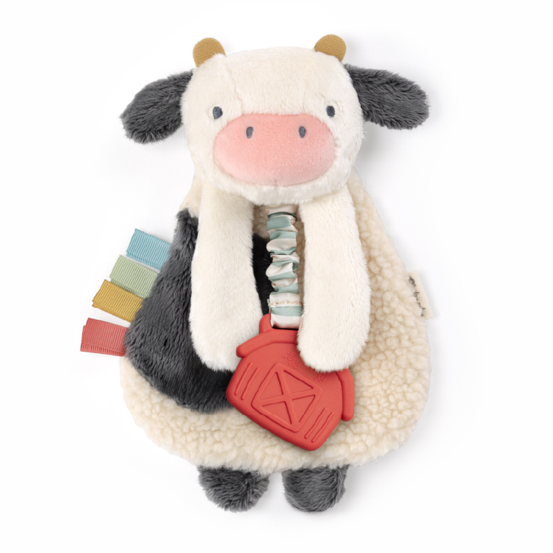 Stuffed lovey online