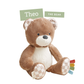 Theo the Bear