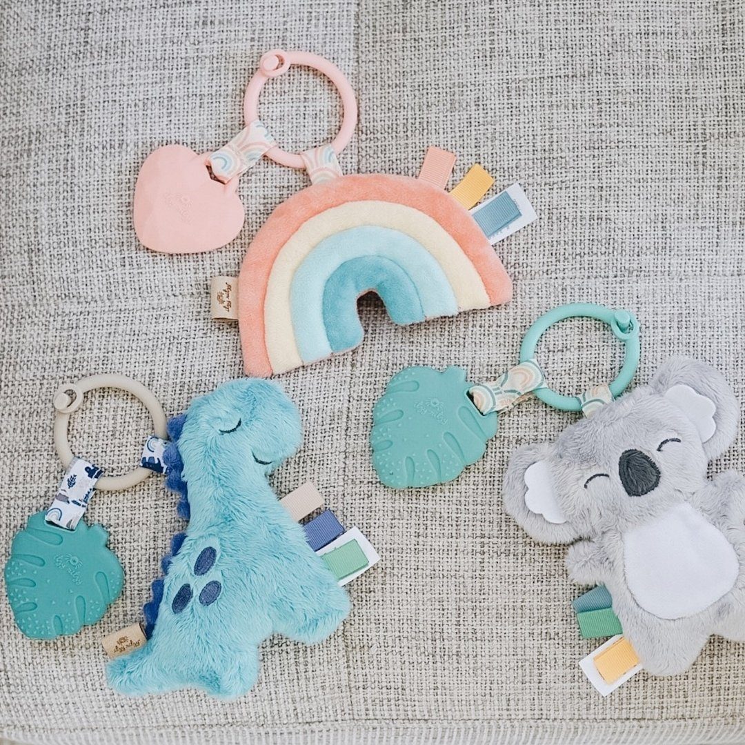 Itzy Pal™ Infant Toy Toy Itzy Ritzy Kayden the Koala James the Dino Macy the Rainbow