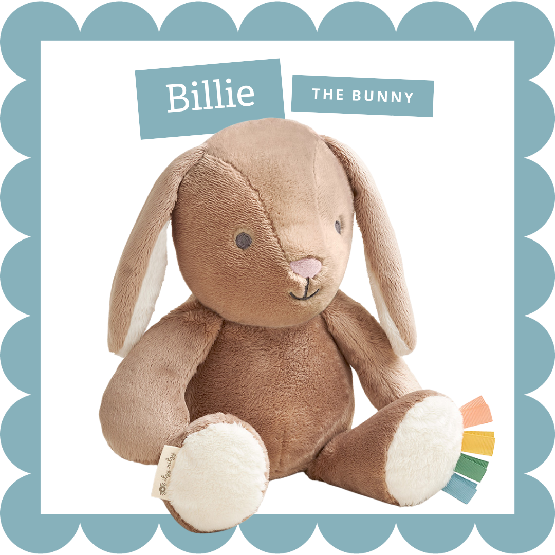 Bille the Bunny