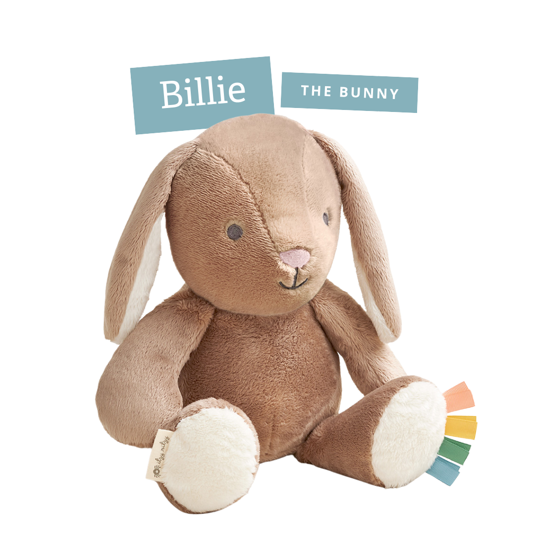 Bille the Bunny