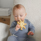 Ritzy Teether™ Itzy Ritzy Buddy the Lion