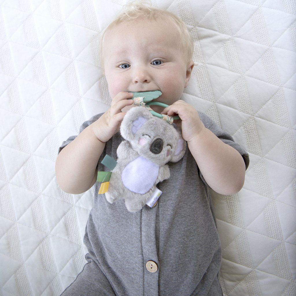 Itzy Pal™ Infant Toy Toy Itzy Ritzy Kayden the Koala 