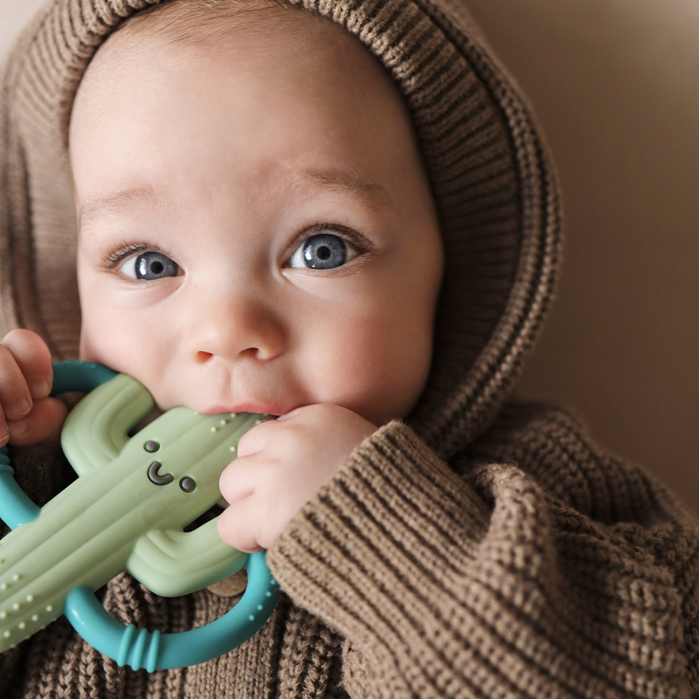 Chew Crew™ Silicone Handle Teether Cooper the Cactus